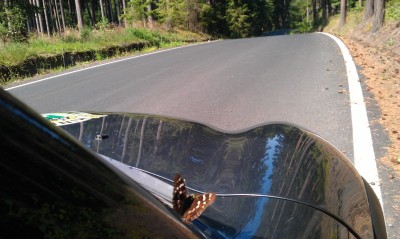 IMAG3474.jpg (104.81 KiB) Zobrazeno 18894 krát IMAG3474.jpg