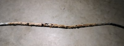IMG_20220111_171727.jpg