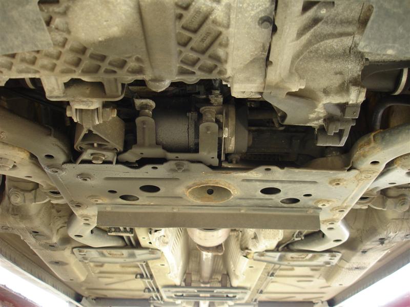 DSC07119 (Medium).JPG