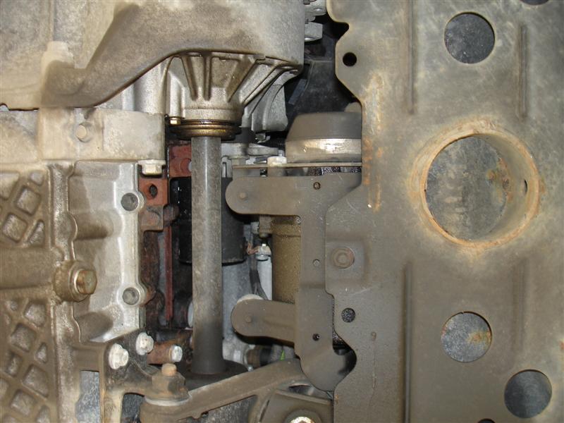 DSC07118 (Medium).JPG