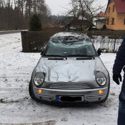 17495993_1474513922561484_1922407945_n.jpg (252.58 KiB) Zobrazeno 7230 krát 17495993_1474513922561484_1922407945_n.jpg